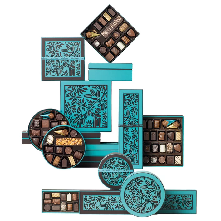 f13ea6d09ea2c71e7dde93596d242b53a13fb98f_boiterectangulairebleue23chocolats2