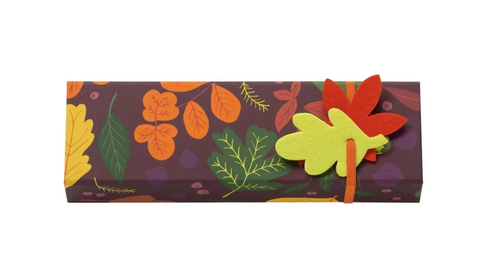 28cd41c8311e4142d3cc3b03e45e93428a4de9ed_4_Boitelonguepetitformatferme_e